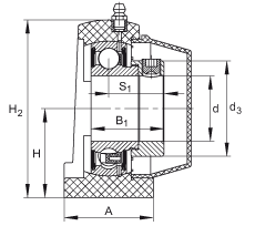 直立式軸承座單元 PSHE45-TV-FA125.5, 塑料軸承座，帶偏心鎖圈的外球面球軸承，帶 Corrotect? 涂層，P型密封