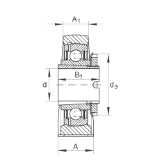 直立式軸承座單元 RASEA25-N, 鑄鐵軸承座，帶緊定套的外球面球軸承，R 型密封
