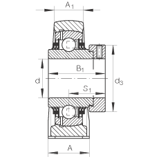 直立式軸承座單元 TSHE50-N, 鑄鐵軸承座，帶偏心鎖圈的外球面球軸承，T 型密封